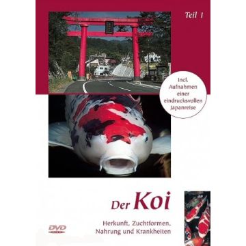 Der Koi - Teil 1 - DVD